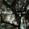 mckaybrooke398